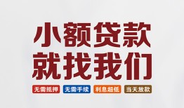 东莞急用私人放贷-东莞急用个人借贷不查征信-东莞急用个人身份证贷款