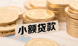 东莞急用身份证贷款平台-东莞急用私人借贷不查征信-东莞急用空放借钱